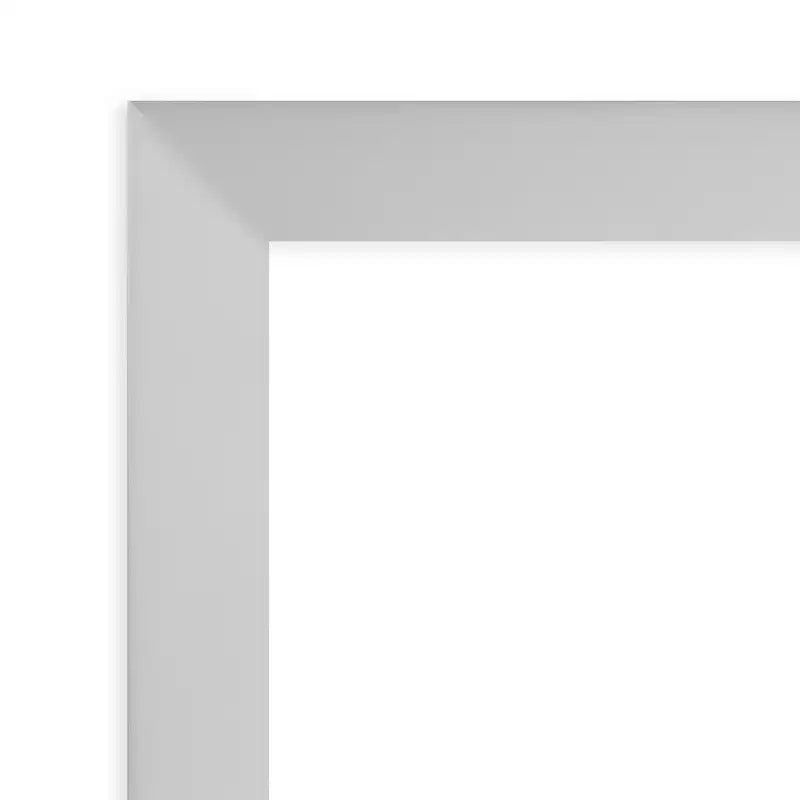 Miroir de porte 17" x 51" en bois argenté à faible lustre, sans biseau