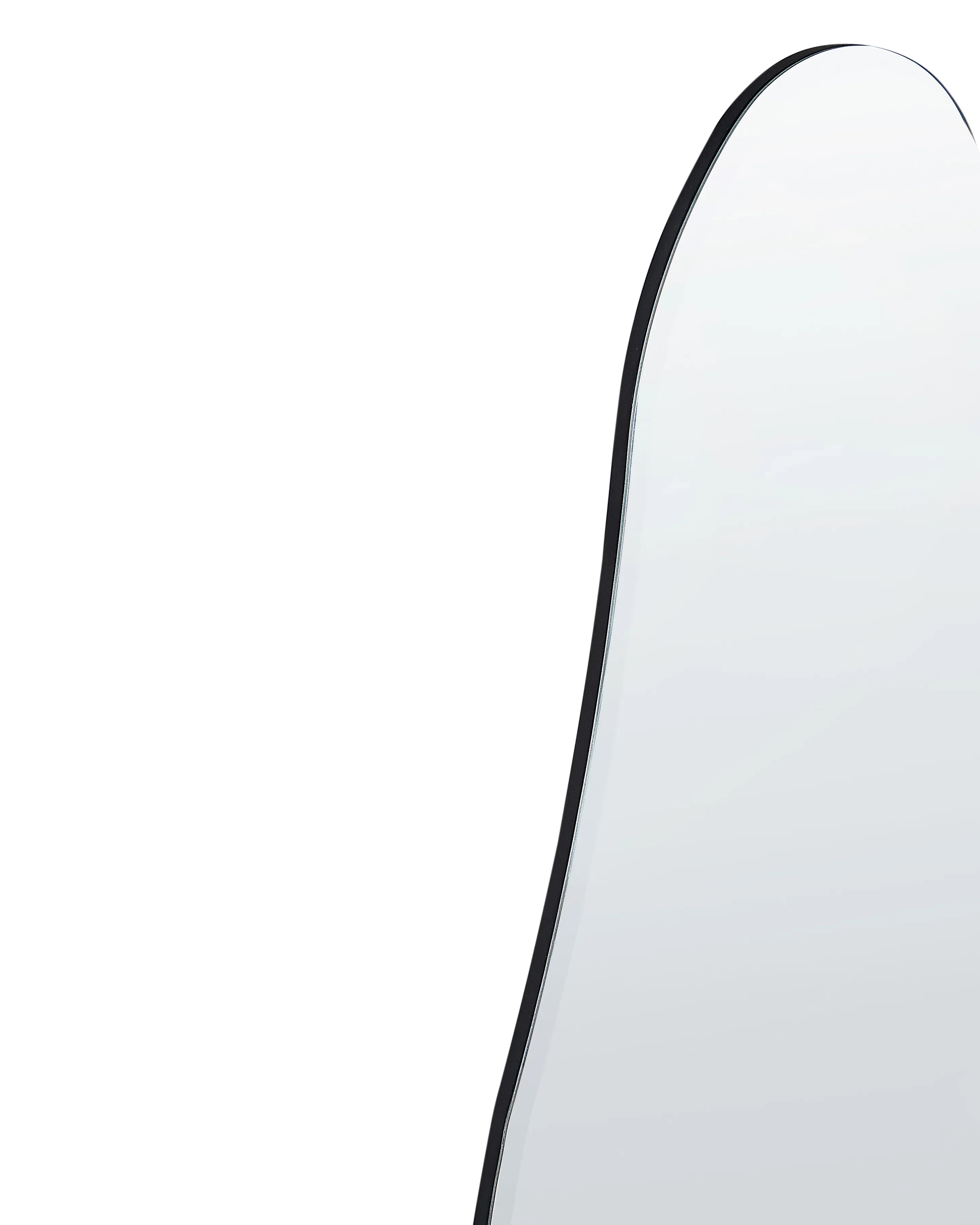 Miroir ESTANG 50 cm 140 cm Argent