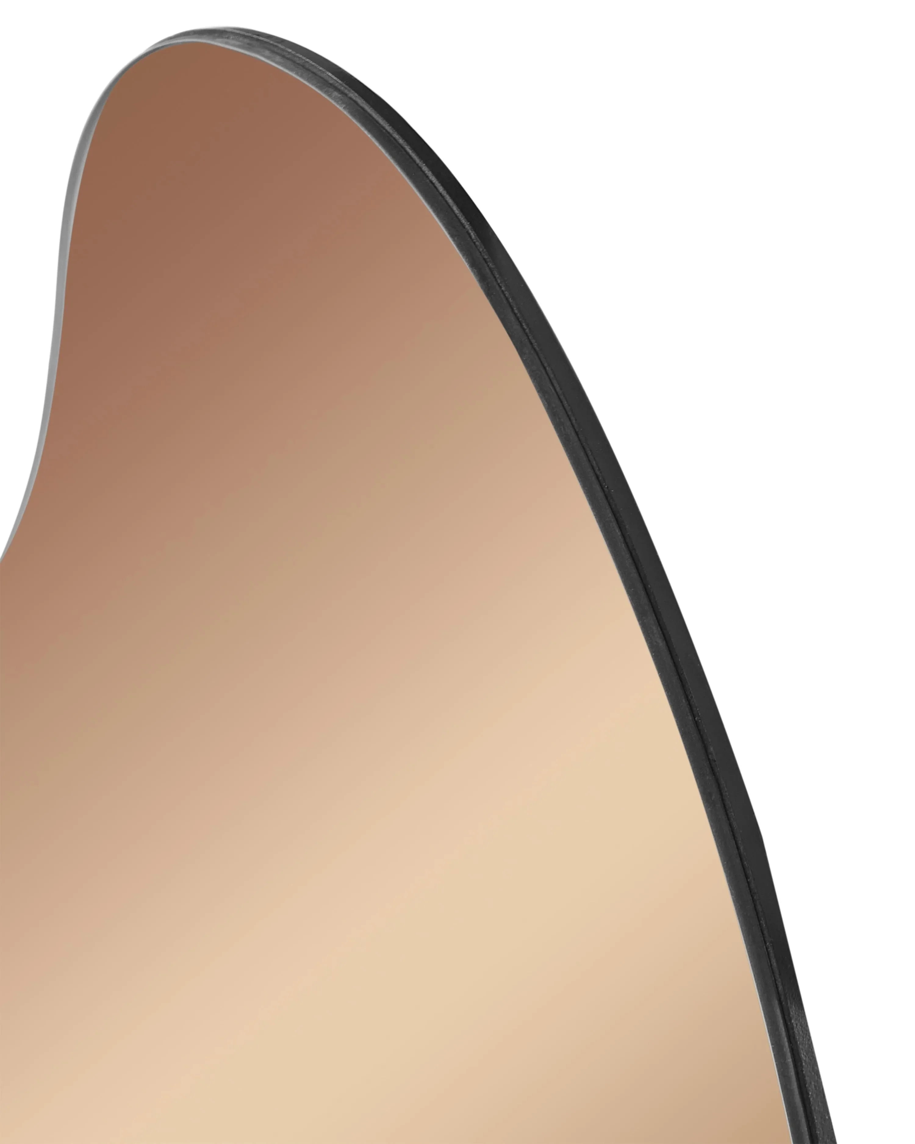 Miroir ASSIGNY 50 cm 92 cm Marron