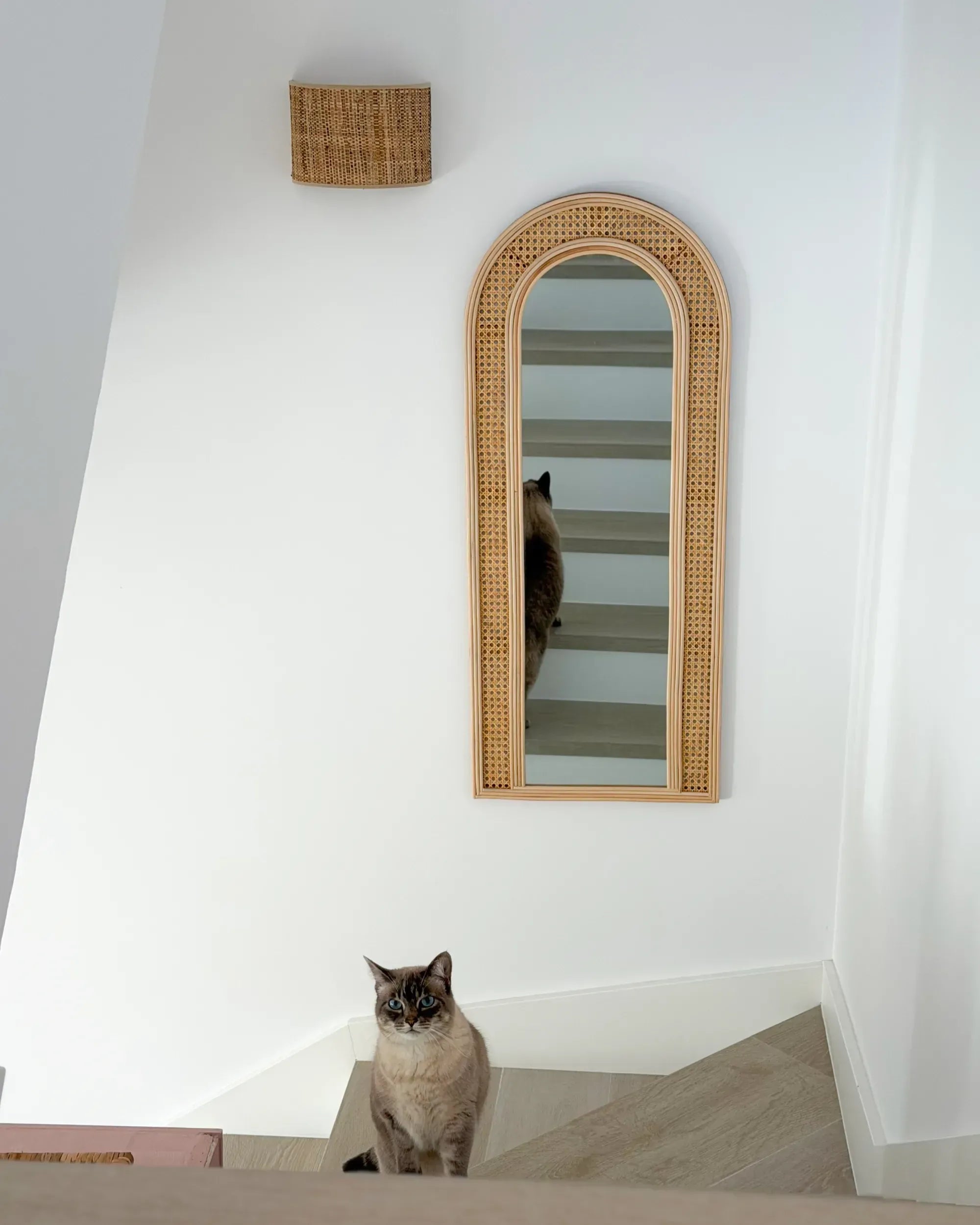 Miroir FRANEY 50 cm 120 cm Rotin Naturel